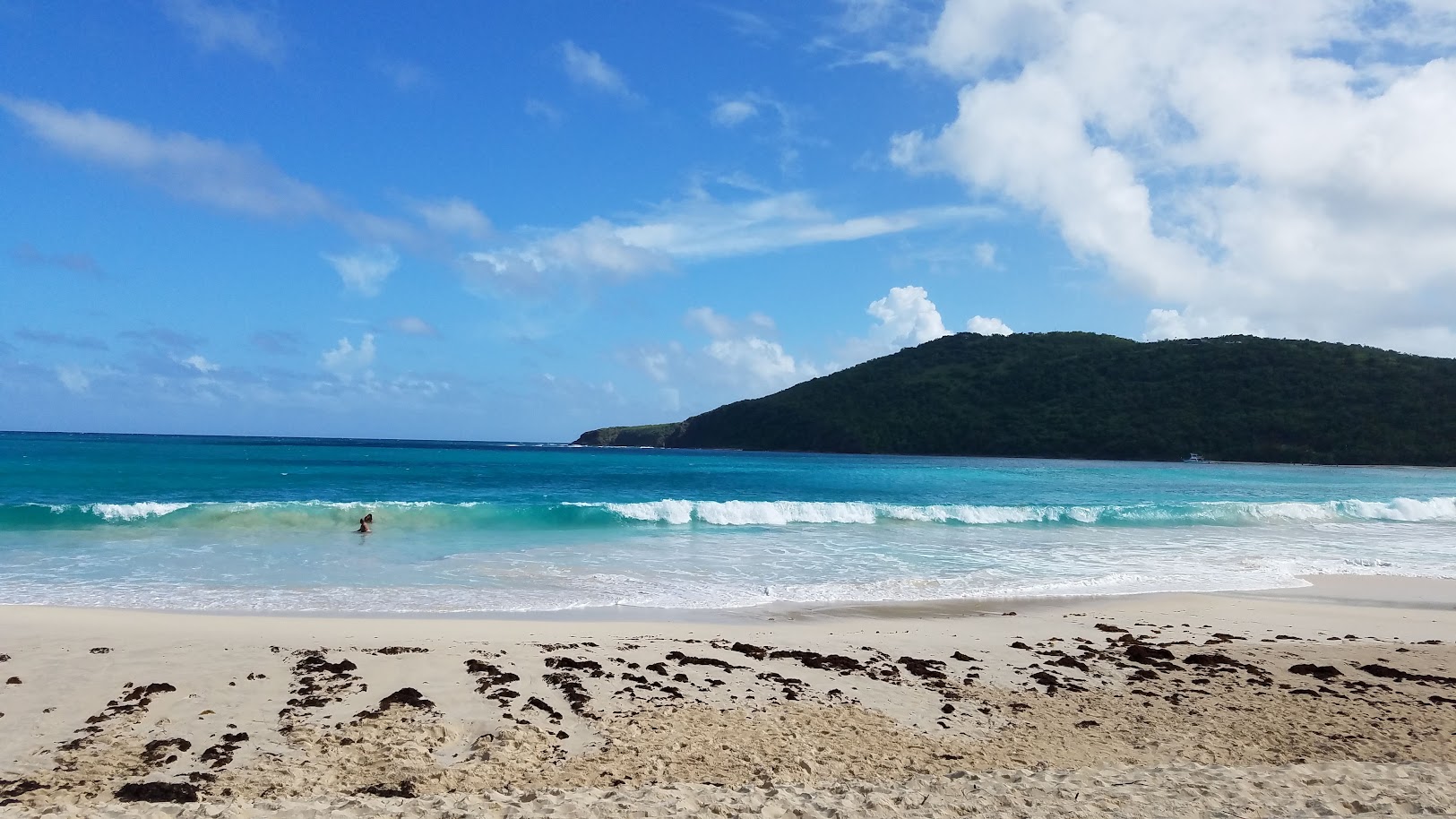 Tropical Beach